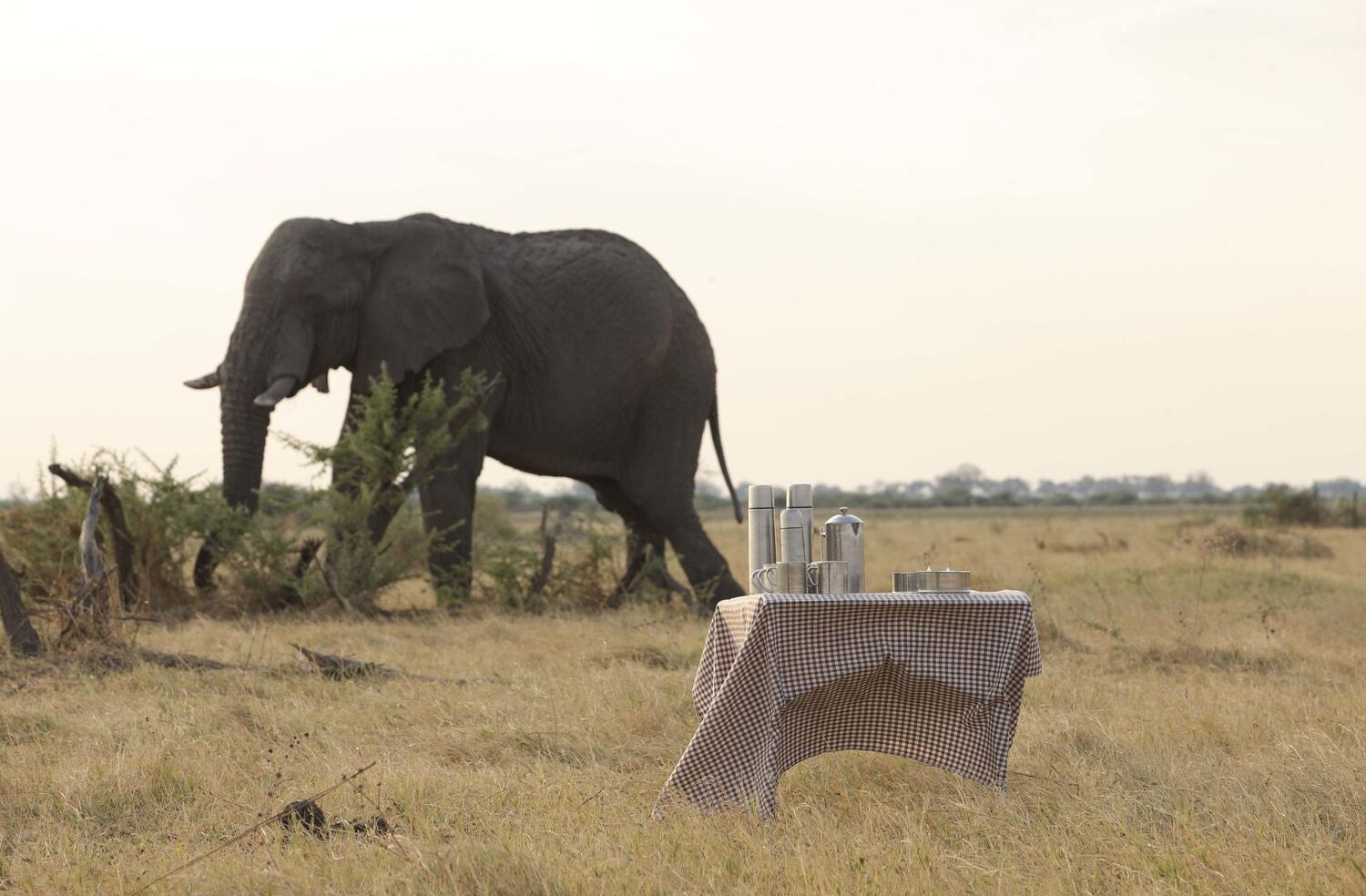 PlaceholderImage1302